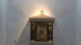 Weekend Mass - English - July 19, 2026