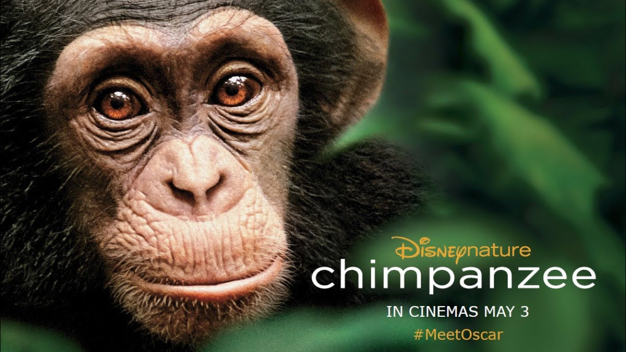 Chimpanzee - UK Trailer - Official Disney | HD - YouTube