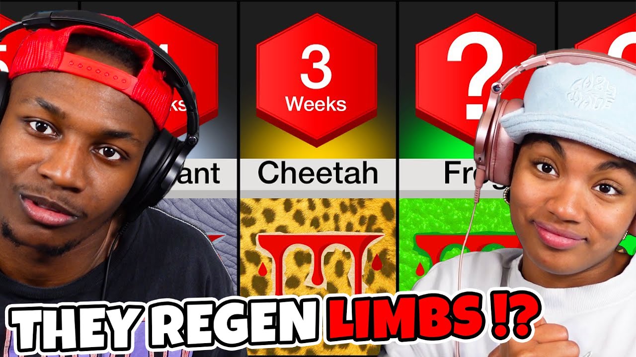 САМЫЕ БЫСТРОИСЦЕЛЯЮЩИЕСЯ ЖИВОТНЫЕ!