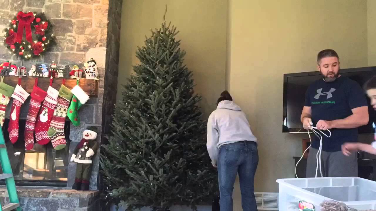 Trimming the Tree 2015 - YouTube