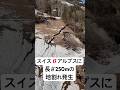 スイス・アルプスに長さ250mの地割れ発生