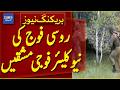 Russia Launches Military Nuclear Exercises| Breaking News | Dawn News