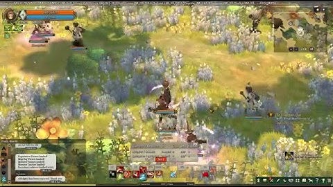 Tree of Savior successful cafrisun armor set farm [channel Hop]