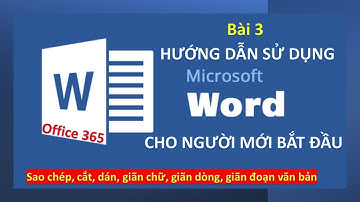 Hướng dẫn sao chép, cắt, dán, di chuyển, căn chỉnh văn bản - Ngoc Office