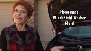 5 Safe Homemade Alternatives for Windshield Washer Fluid - The News Wheel