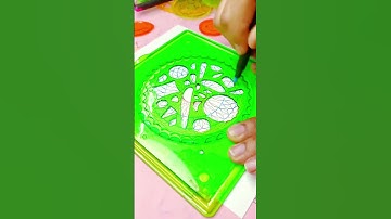 🔥 5 Stunning Spirograph Patterns You Can’t Miss! 🌈✨ #VisualBliss