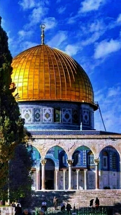 🥺🇯🇴🥺