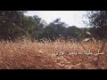 انشودة صلي عليك الله يا خير الورى انشاد نواف القريني وحسن النتيفات   2020