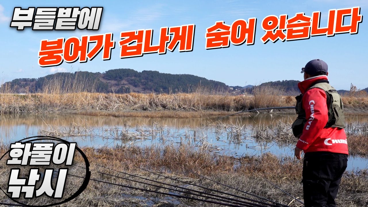 화풀이 낚시 - 붕어낚시 끝장전