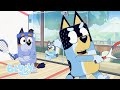 Cucurbita Bluey Español Canal Oficial