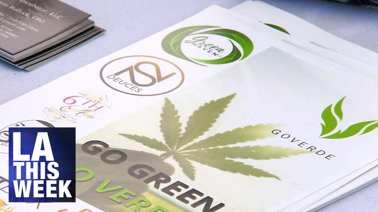 City of LA Department of Cannabis Regulation Job Fair