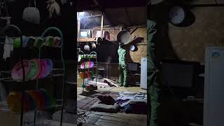 Ghost terminator #viral #travel #video #nature #البخل #viralvideo #terminator