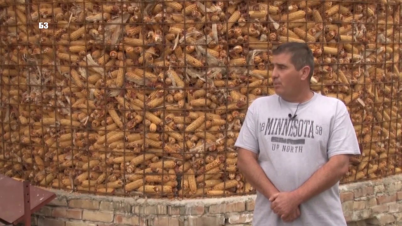 Kako da najlakse napravite NAJEFTNIJI PROSTOR ZA SKLADISTENJE KUKURUZA