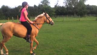 Bareback jumping first time+Fall
