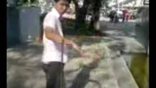 Org Magician - Dalet 德宇