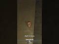 I-A CĂZUT FAȚA PE JOS #roblox #shawarmakiosk #horror