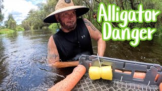 Download Lagu SHARK Tooth Hunting In The Peace River With Alligators! MP3 Download Lagu SHARK Tooth Hunting In The Peace River With Alligators! MP3