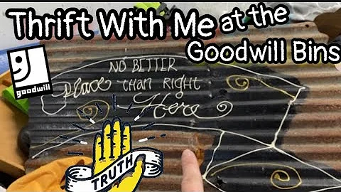 Filled My Cart at the Goodwill Bins 🤑🤑 | THRIFT WITH ME for Vintage To Resell