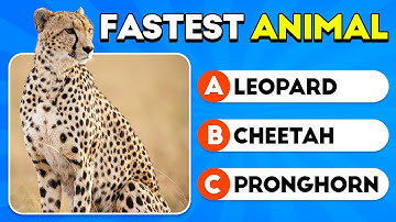 Ultimate GENERAL KNOWLEDGE Quiz 🤔 | GK Trivia Challenge 🔥 | Science, History & More!