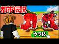 ラッキーブロックを蹴る『誰でも激レアが手に入る都市伝説レベルのウラ技』でブレインロットを調査したらヤバすぎた、、、【ロブロックス/ROBLOX】