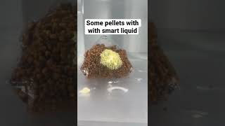 Winter carp fishing HACK #carpfishing #karpfen #karpfenangeln #carpfishingusa