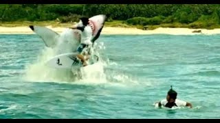 The Shallows นรกน้ำตื้น