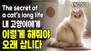 [Eng Dub] 10 Tips for Cat Living Longer