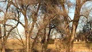 Lots And Land for sale - 905 CROUSE MILL, KEYMAR, MD 21757