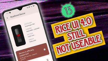 RiceUI 4.0 (RiceDroid) ROM for Redmi Note 8 - Android 13 - Detailed Review