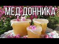 Где мои пчёлы собирали мед. Белый мёд с донника. Главный медосбор.