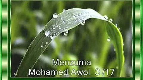 Mohamed Awol Selae Ale Nebi