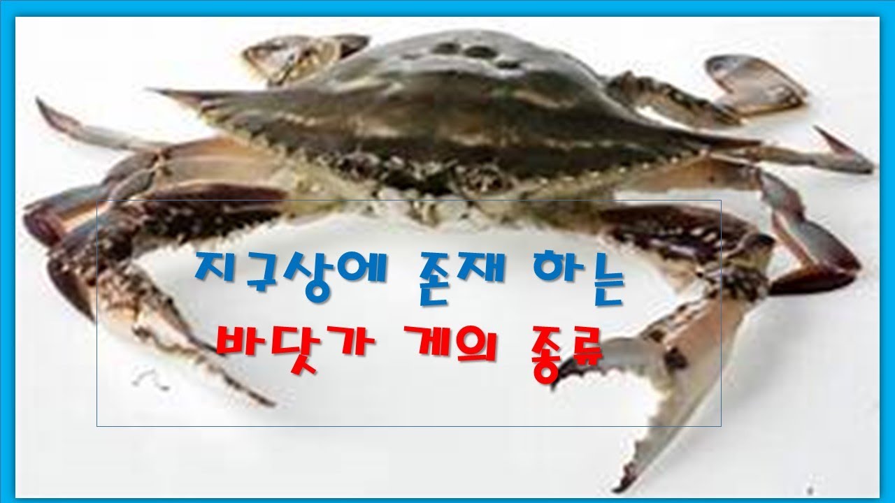 지구상의 존재하는 바다에사는 게종류 - YouTube