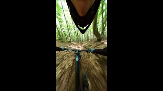 Dağ Bisikleti Ile Ormandan Son Hız İniş ⚡️