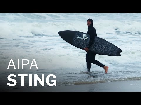 サーフィン・ボディボード BenAipa stinger stingray 7'4 サーフィン・ボディボード BenAipa stinger stingray 7'4 AIPA x