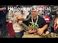 Halloween reptile show