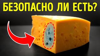 Что делать, если вы случайно съедите плесень