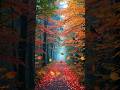 Deep Sleep Relaxation Music | Calm Your Mind &amp; End Overthinking #Shorts