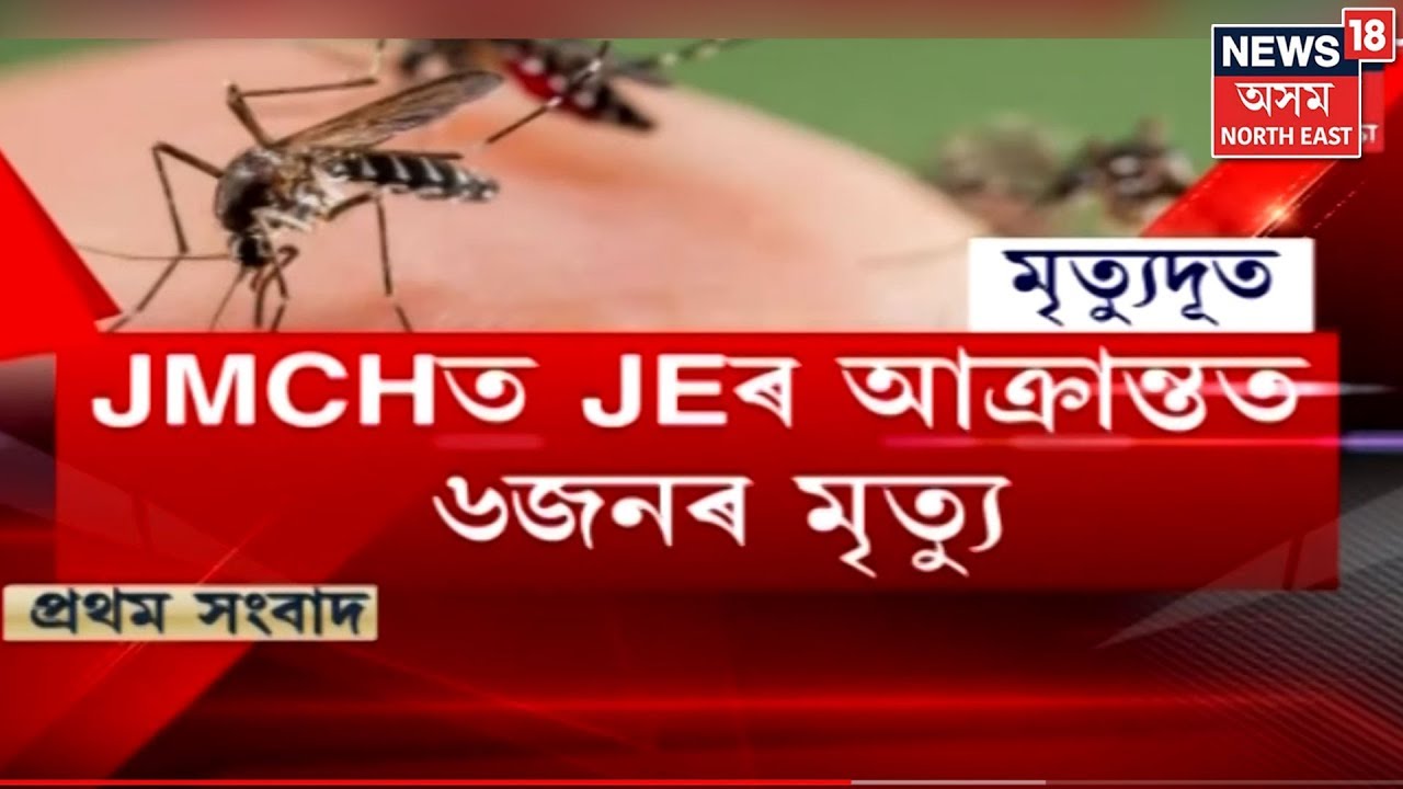 Japanese Encephalitis Hits Assam, Kills Two In 24 Hours