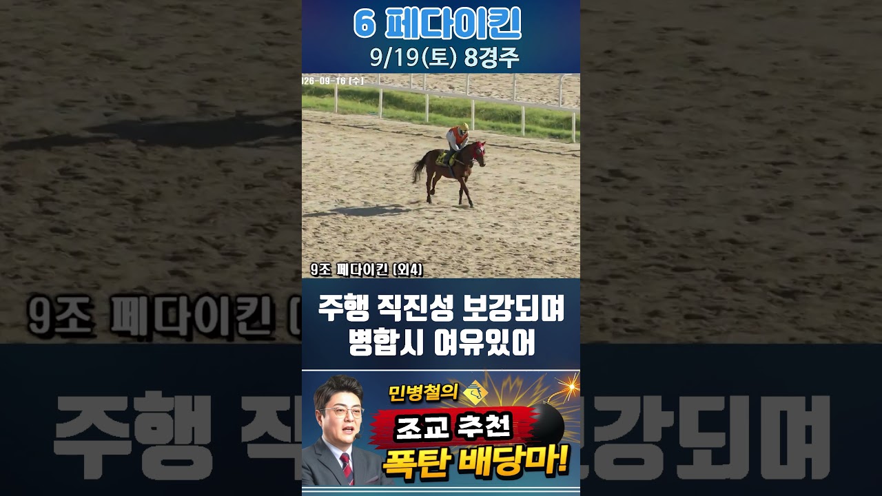 [서울 경마] 민병철 조교추천 폭탄 배당마 2026년 9월 19일 토요 8R 6 페다이킨 #경마 #automobile #한국마사회 #horse #하이라이트 #korean #비트코인