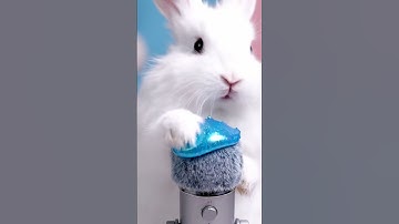 BUNNY ASMR🐰☁️🍭 #asmr #asmrsounds #animation