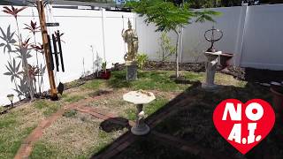 Maat Garden, first look