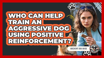 Who Can Help Train An Aggressive Dog Using Positive Reinforcement? - Obedient Dog Guide