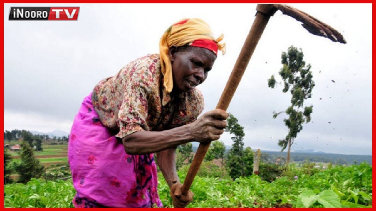 ARĨMI MAHANDE KANA METERERE?