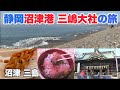 【静岡】絶景の”千本浜”・沼津港のグルメ・三嶋大社を巡る旅