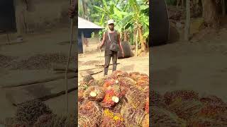 This Is Beautiful 🤩 Business