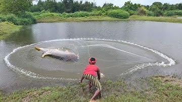 Natural Net Fishing Video | Big Fish Catching With in The Pond