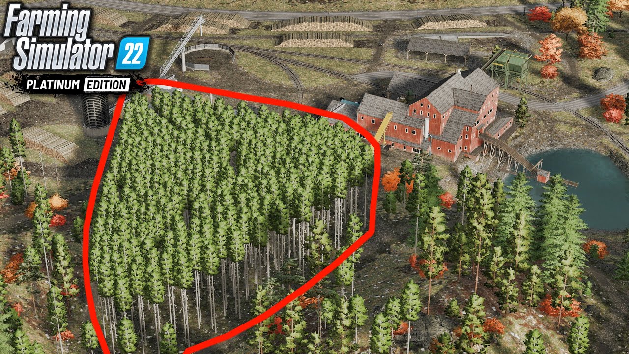 Planting 301 Lodgepole Pines That Won t Grow Silverrun Forest Planting 301 Lodgepole Pines That Won t Grow Silverrun Forest