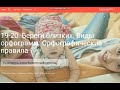 Урок 19. Береги близких. Виды орфограмм. Русский язык. 3 класс