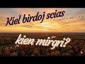 Kiel birdoj scias kien migri?
