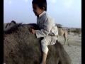 يا ويلي ويلاه نزلني